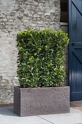 Fibrestone Jort Rectangle Planter by Idealist Premium