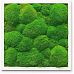 PREMIUM Moss Wall Art Artificial Moss Plant