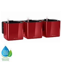 LECHUZA Green Wall Home Kit Glossy Indoor Self-watering Planter