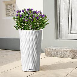LECHUZA CILINDRO Cottage Round Tall Poly Resin Self-watering Planter