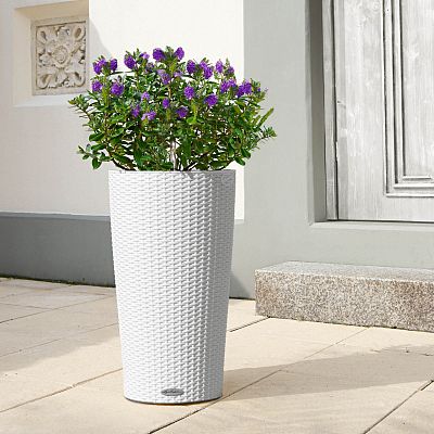 LECHUZA CILINDRO Cottage Round Tall Poly Resin Self-watering Planter