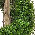 Topiary New Buxus Spiral Artificial Bush Plant