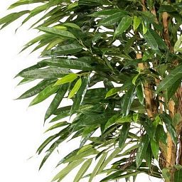 LONGIFOLIA ROYAL Artificial Tree Plant