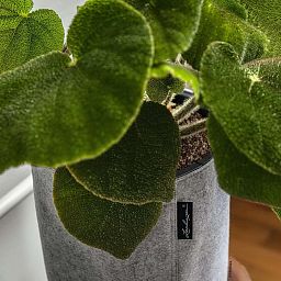 LECHUZA TRENDCOVER Round Self-watering Planter