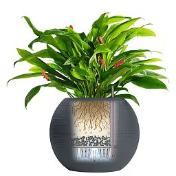LECHUZA PURO Color Round Poly Resin Self-watering Planter