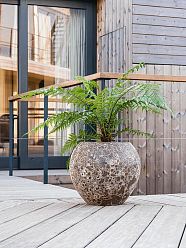 Lava Ceramic Planter | Indoor and Outdoor Plant Pot