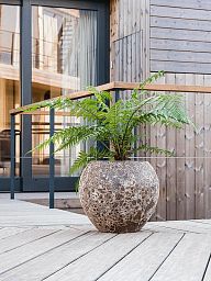 Lava Ceramic Planter | Indoor and Outdoor Plant Pot