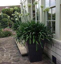 Geo Classic Fiberglass Square Tall Aluminium Planter Pot In/Out