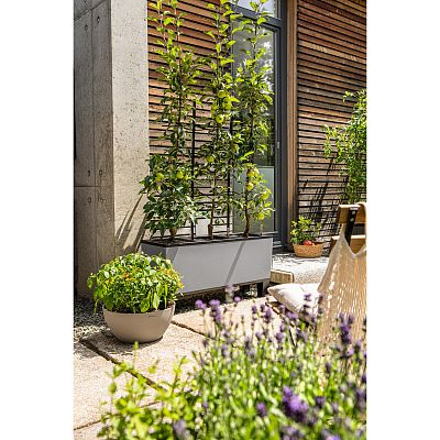 LECHUZA TRIO Stone Trough Poly Resin Self-watering Planter