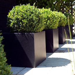Square Fiberstone Contemporary Planter by Cadix Capi Lux
