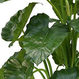 ALOCASIA CALIDORA DELUXE Artificial Tree Plant