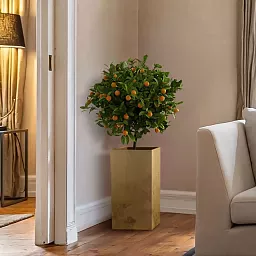 IDEALIST Lite Tall Square Metallic Indoor Planter