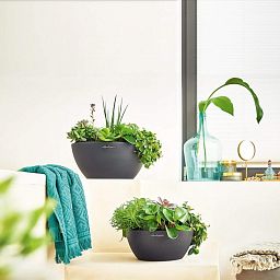 LECHUZA CUBETO COLOR Round Stone Look Poly Resin Self-watering Planter Set
