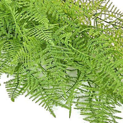 Fern Hanging Flame Retardant Artificial Branch Plant