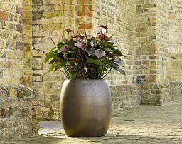 Ceramic Sepia Round Large Planter Pot In/Out