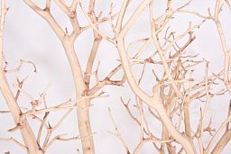 Manzanita Sand Blasted Branchy Artificial Branch
