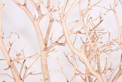 Manzanita Sand Blasted Branchy Artificial Branch
