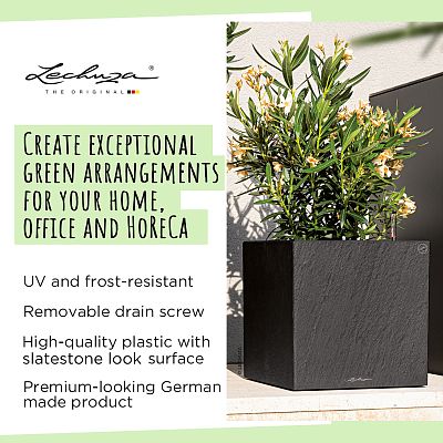 LECHUZA CANTO Slatestone Low Square Poly Resin Self-watering Planter