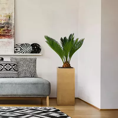 IDEALIST Lite Tall Square Metallic Indoor Planter