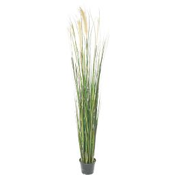 CATTTAIL (TYPHA) Artificial Grass Plant