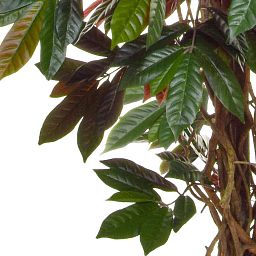 Capensia Deluxe Liana Flame Retardant Artificial Tree Plant
