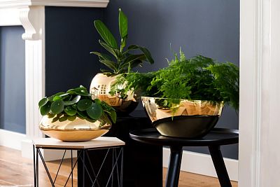 Fiberstone Glossy Dorant Planter by Idealist Premium