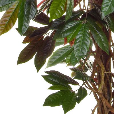 Capensia Deluxe Liana Flame Retardant Artificial Tree Plant