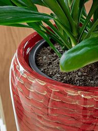 Amfi Partner Glossy Snake Tall Indoor Planter