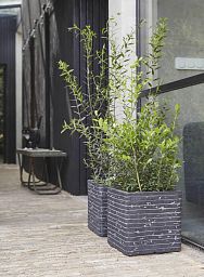 Square Resin Planter by Cadix Capi Tutch Row