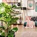 Monstera Deliciosa in LECHUZA CUBE Cottage Self-watering Planter, Total Height 160 cm