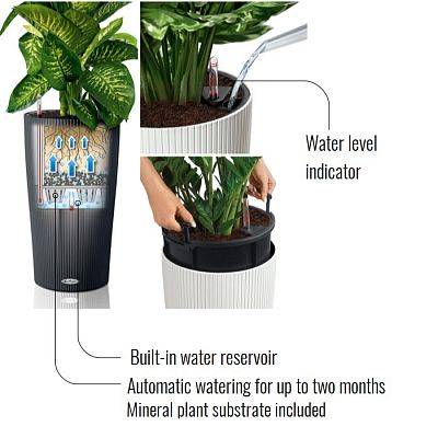 LECHUZA - 15785 Rondo Premium 32 Planter Matt Black, Plant Column with Irrigation System, Water Level Indicator and Plant Insert, Matte Surface, Diameter 32.5 x 56.5 cm