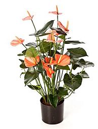 Anthurium Pink Artificial Flower Plant
