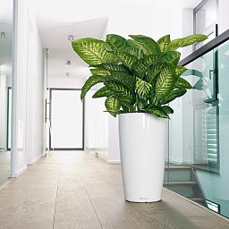 LECHUZA RONDO Round Tall Poly Resin Planter Only