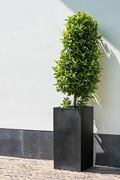 Tall Fiberstone Square Planter by Idealist Premium BOUVY