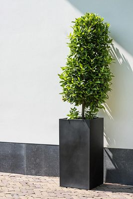 Tall Fiberstone Square Planter by Idealist Premium BOUVY