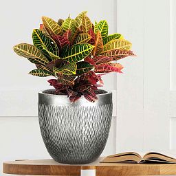 IDEALIST Lite Mesh Style Round Indoor Planter