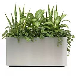 Superline Trend on Wheels Rectangle Indoor Planter