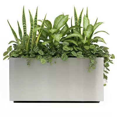 Superline Trend on Wheels Rectangle Indoor Planter