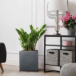 IDEALIST Lite Hammered Stone Style Square Indoor Planter on Metal Stand