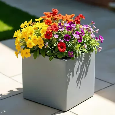 IDEALIST Lite Square Box Contemporary Light Concrete Planter