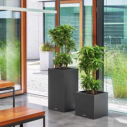 LECHUZA CANTO Stone High Square Tall Poly Resin Self-watering Planter