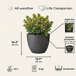 IDEALIST Lite Contemporary Light Concrete Egg Planter