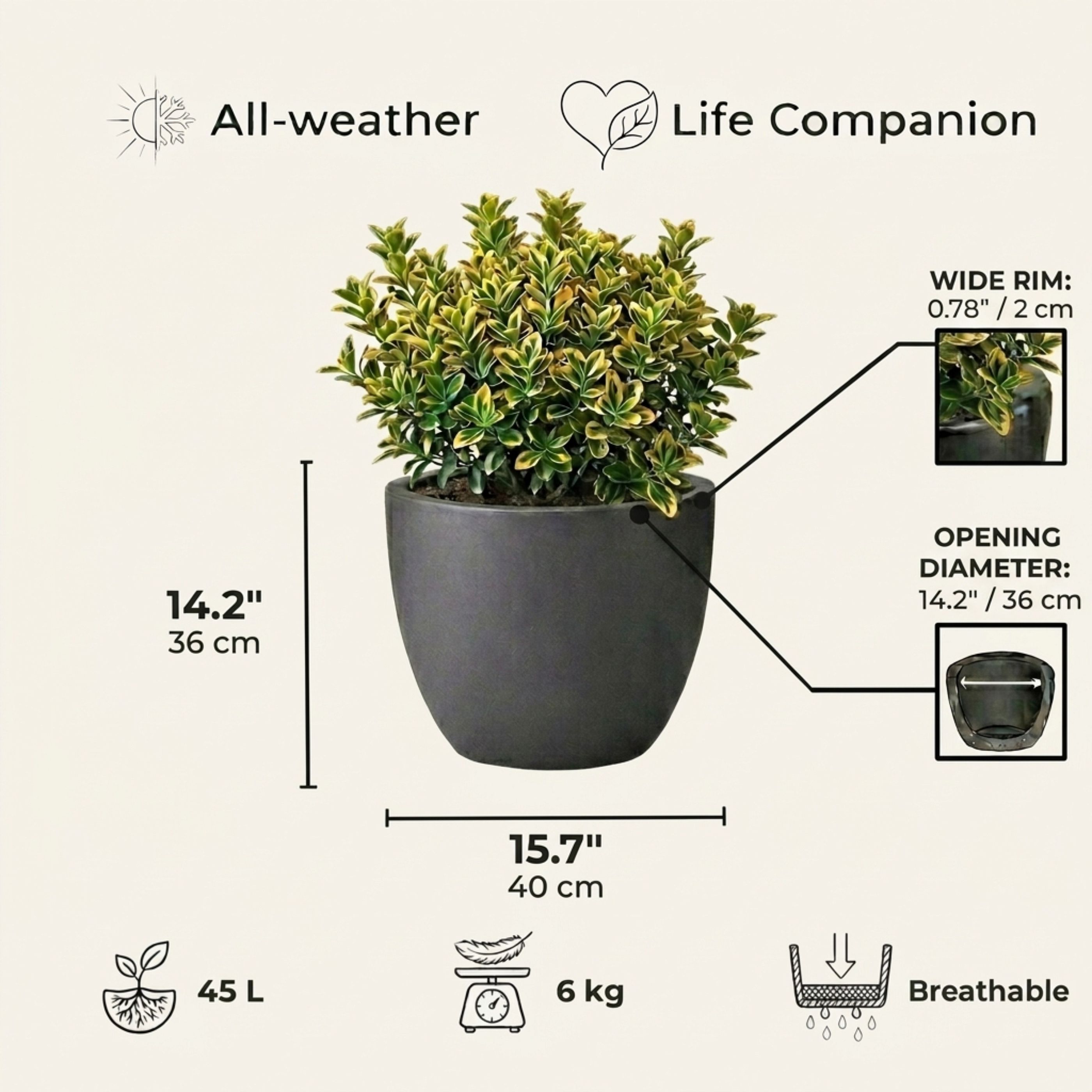 IDEALIST Lite Contemporary Light Concrete Egg Planter