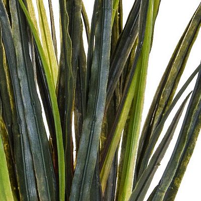 Yucca Bush / Artificial Grass Plant