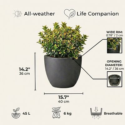 IDEALIST Lite Contemporary Light Concrete Egg Planter