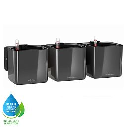 LECHUZA Green Wall Home Kit Glossy Indoor Self-watering Planter