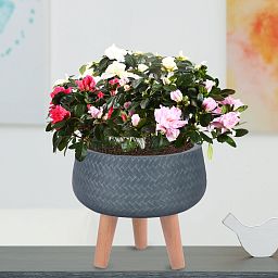 IDEALIST Lite Plaited Style Bowl Planter on Legs, Round Pot Plant Stand Indoor