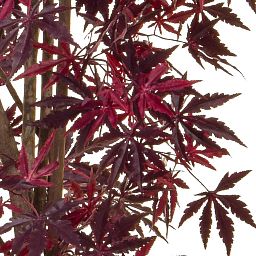 Maple Japanese Flame Retardant Artificial Tree Plant