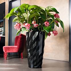 LECHUZA DIAMANTE Premium Glossy Round Tall Poly Resin Self-watering Planter