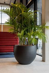 Fibrestone Jumbo Orb Round Planter by Idealist Premium Fibrestone Jumbo Orb Round Planter by Idealist Premium